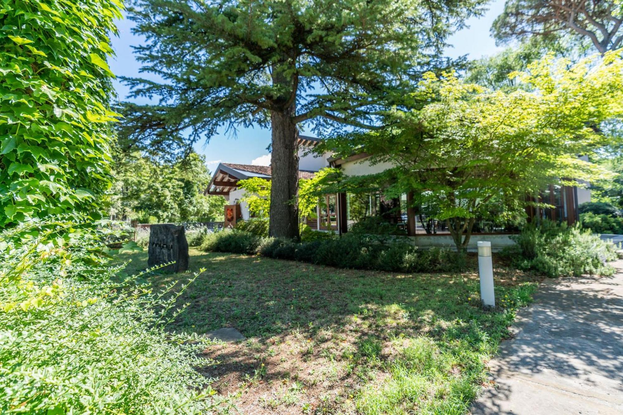 Accademia Vine Lodge Capriva del Friuli Eksteriør billede